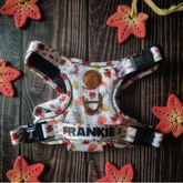 Boss & Olly - Autumn Leaves Active Harness